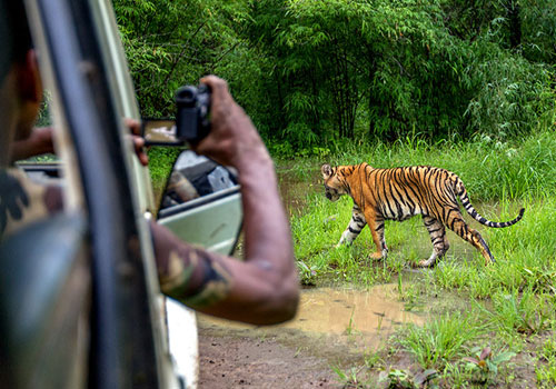 Pench National Park